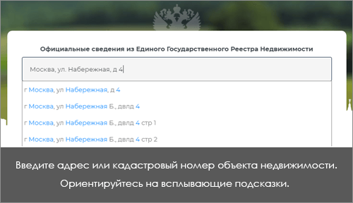 Введите данные для поиска по базе ЕГРН!
