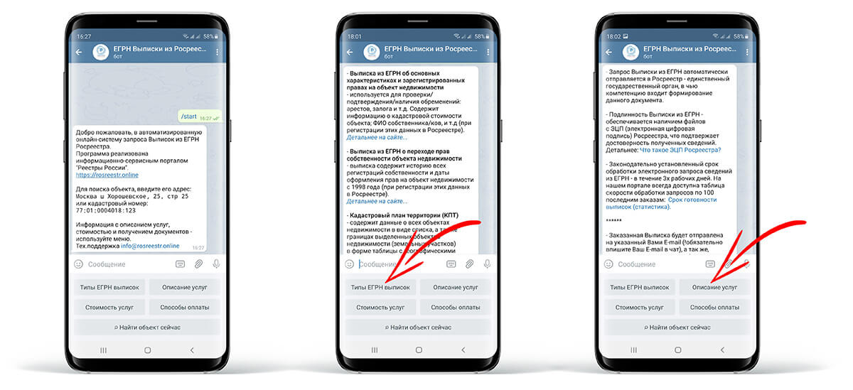 Заказать ЕГРН в Телеграм